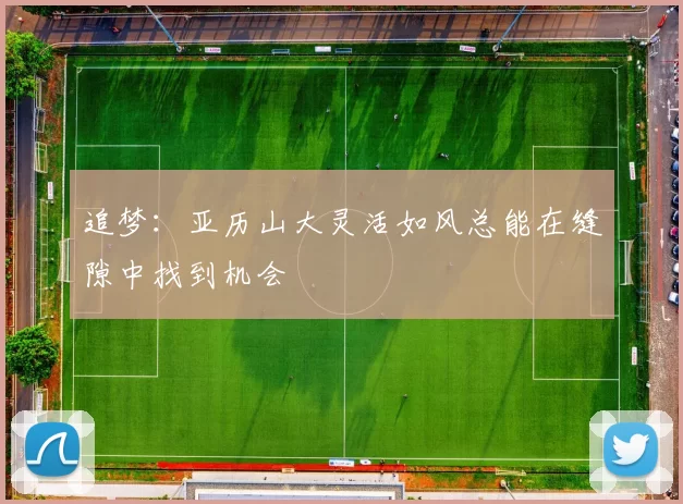 追梦：亚历山大灵活如风总能在缝隙中找到机会
