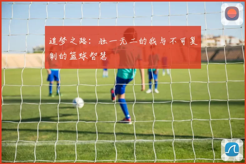 追梦之路：独一无二的我与不可复制的篮球智慧
