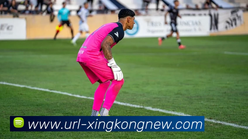 星空体育发展历程